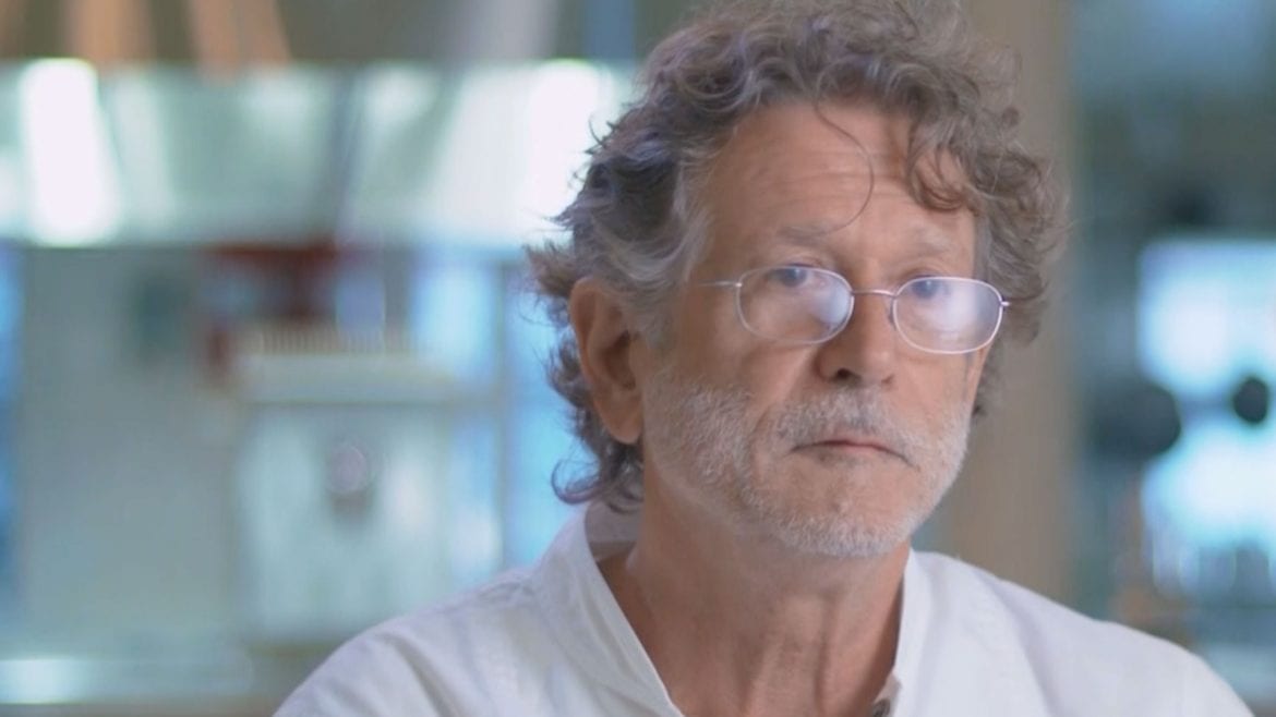 Gunter Seeger, New York - Molteni